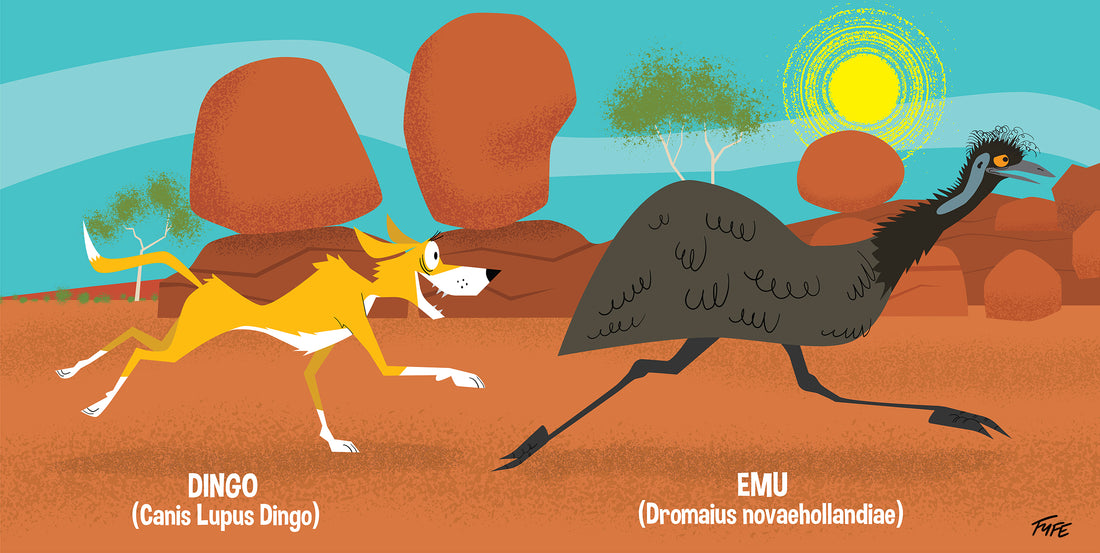 Beaks and Barks Australian cartoon artwork of a dingo chasing an emu at the Devils Marbles outback landscape by artist Andrew Fyfe