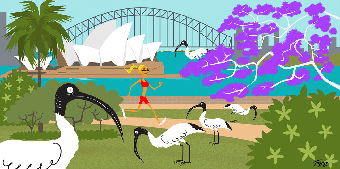 Cartoon illustration of a park scene with ibises, a bridge, and a opera house in the background.
