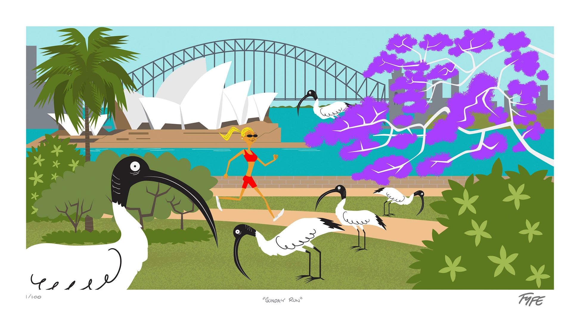 Illustration of Sydney Harbour with iconic landmarks, birds, and a bridge.