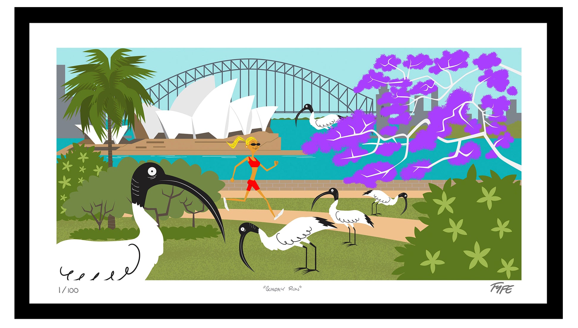 Illustration of a Sydney landscape with Opera House, bridge, and ibises.